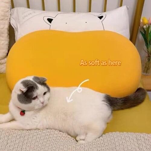Sisher Cushions