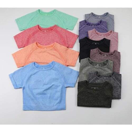 Cropped Seamless Yoga Shirt Women Short Sleeve Running T-shirts Workout Tops Soft Nylon Fitness Crop Top Gym Clothes Sportswear