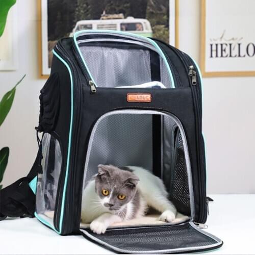 Cat Carrier Pet Travel Backpack Creative Cat Window Outdoor Puppy Kitten Transparent Pvc Large Capacity Dog Bag Transportin Gato
