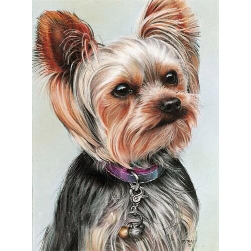 5D Diy Diamond Painting Animal Dog Yorkshire Terrier Full Square Round Diamond Embroidery Rhinestones Cross Stitch Mosaic DF214