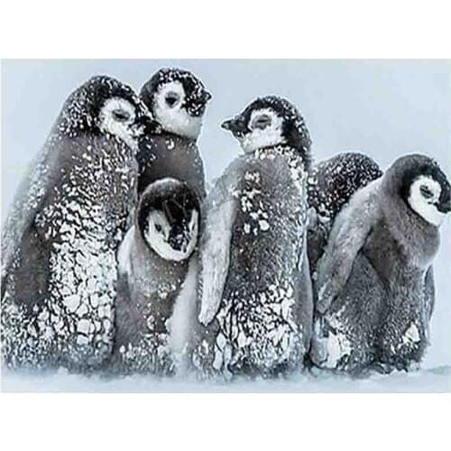 Full Square/round 5D DIY Diamond Painting Penguin 3D Diamond Embroidery pattern Animals Picture Of Rhinestone home decor sticker