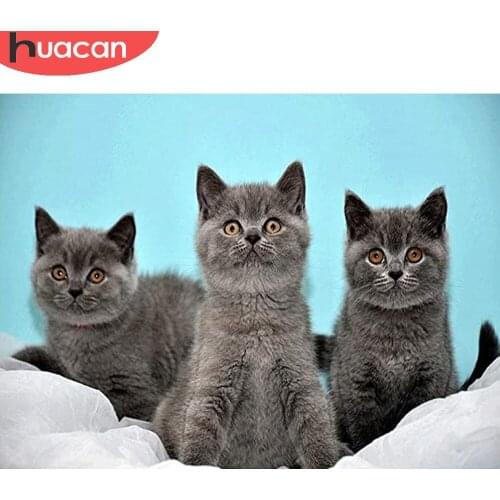 HUACAN Diamond Painting Full Drill Cat Diamond Embroidery Mosaic Animal Cross Stitch Home Decor