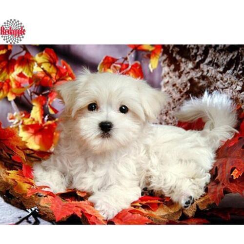 Full Drill square,maltese dogs,diamond embroidery pet,5d diamond painting,Cross Stitch,3D rhinestones Mosaic painting,Home Decor
