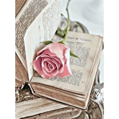 Pink Rose In The Book Flower Painting By Numbers Hand Painted Oil Painting Adult Child Picture Colouring Home Decor Unique Gift