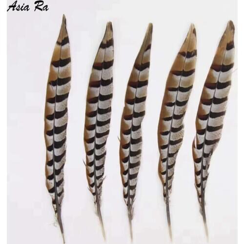 12-14Inch 30-35CM Natural Rare Pheasant Tail Feathers for Crafts Wedding Decorations Reeves Venery Pheasant Tail Feathers Plumas