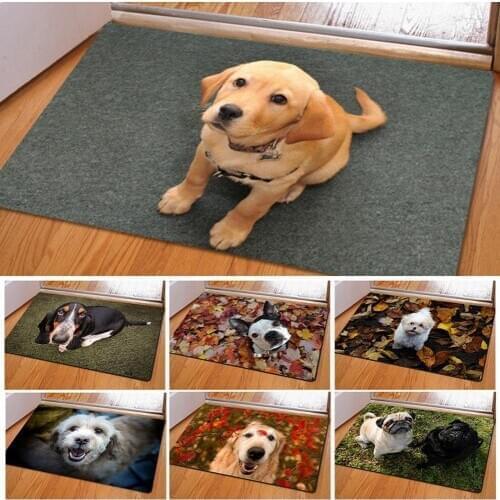 Creative Cute Pet Dog Print Rectangle Bedroom Kitchen Anti-Slip Doormat Floor Mat Entrance Mat Entry Rug Modern Home Decoration