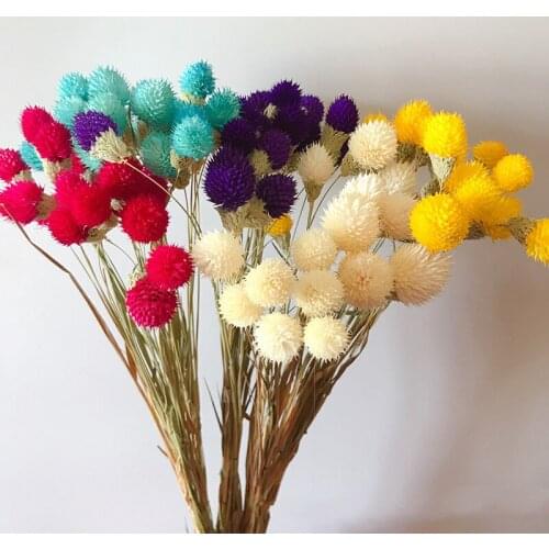 15Pcs Gomphrena Globosa Strawberry Fruit Preserved Dried Flower Bouquet Photograph Home Desktop Office Garden Wedding Decoration