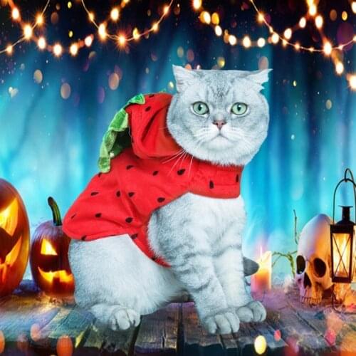 Cat Clothes Halloween Cute Red Strawberry Pet Transform Clothes Cats Winter Jacket