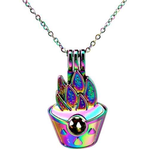C821 Rainbow Color Cactus Cage Pendant Locket Aroma Essential Oil Diffuser Locket Necklace