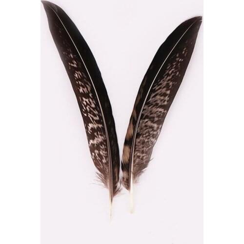 New 100pcs/lot Natural Color Pheasant Tail Feathers 10-15cm 4-6inch Party Home Jewelry Accessories DIY Plumes