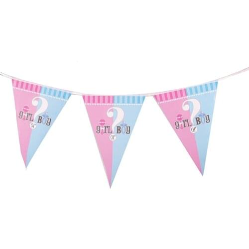 Pink Blue Baby Shower Banner Boy or Girl Gender Reveal Paper Flags Party Decor Its a Boy Garland Boy Girl Baby Shower Decor
