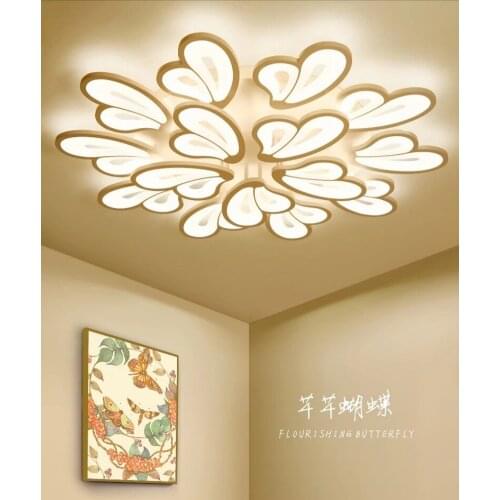 Modern living room decoration chandeliers ceiling lamparas de techo hallway lamp LED ceiling lamp lighting light ceiling lights