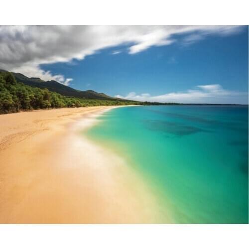 Ocean Beach Mountain Scenery Backdrop Baby Shower Party Birthday Room Decor Photo Booth Studio Prop