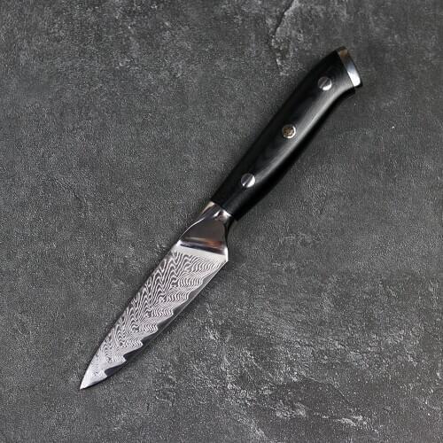 JUNSHENG 67 layer Damascus steel kitchen knife 3.5 inch fruit knife G10 handle multi-function paring knife gift