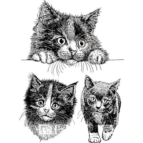 AZSG Realistic Cats Clear Stamps For Scrapbooking DIY Clip Art /Card Making Decoration Stamps Crafts