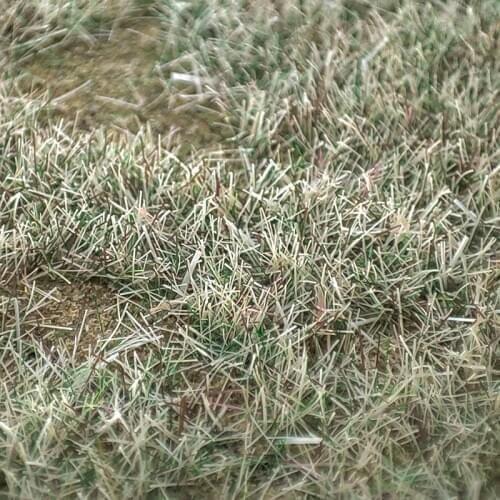 3mm Blended Season Grass 100G/PACK Static Grass for scale train railway layout miniature model materials static flocking fibers