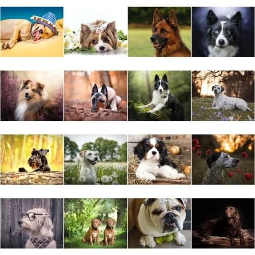 Diy 5D Diamond Painting Dog Animal Pattern Diamond Embroidery Cross Stitch Kits Handmade Full Round Rhinestone Mosaic Decor Art