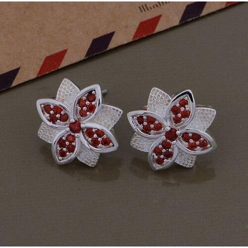 AE686 Trendy wholesale earrings , fashion jewelry , plated red stone /cayaksfa cblakssa