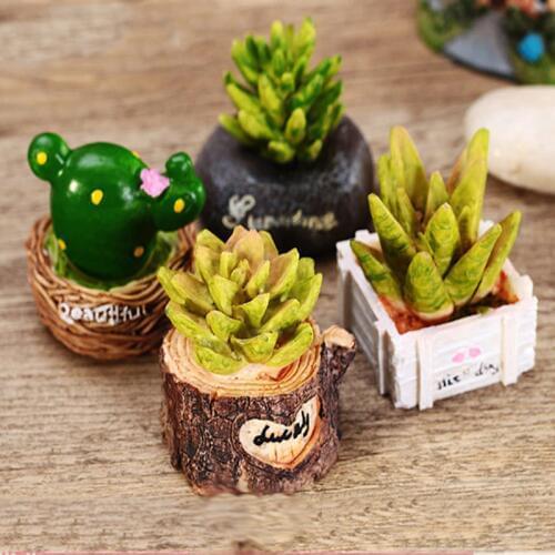 1pc Mini Resin Fleshy Cactus Figurines Miniature Doll House Ornaments Fairy Garden Micro Landscape Home Decoration