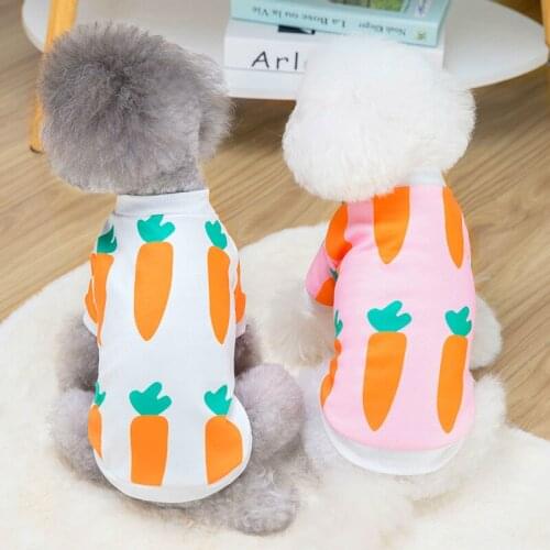 New Spring Autumn Winter Xs Dog Clothes For Small Dogs Boy Girls Teddy Print Vest Costume Puppy Outfit Pet Clothing