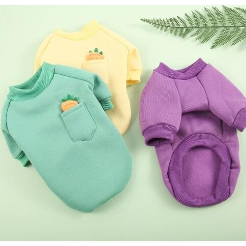 Winter Dog Clothes Fruit Print Puppy Outfit Pets Dogs Clothing Pet Dog Hoodie Pet Clothes For Small Dogs Costume French Bulldog