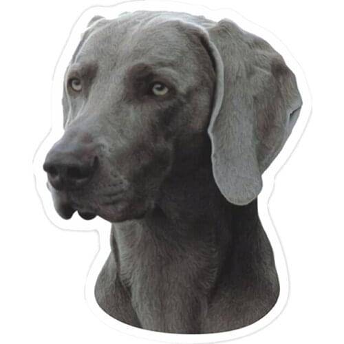 S41157# Various Sizes Self-adhesive Decal Weimaraner Car Sticker Waterproof Auto Decors on Bumper Rear Window choose size
