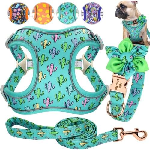 Printed Dog Collar Leash Harness Personalized Customized Dog Collar Pet Walking Leash For Medium Large Dogs French Bulldog