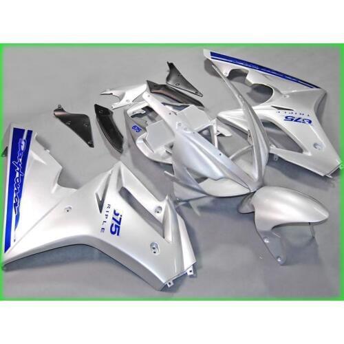 Silver Fairing kit for Triumph Daytona 675 05 06 07 08 Daytona675 2005 2006 2007 2008 ABS Injection Fairings set DT26