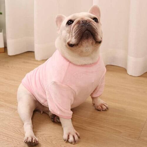 Pet clothes French bulldog clothes Pug dog autumn and winter bottoming shirt double-sided fleece high elastic sweater