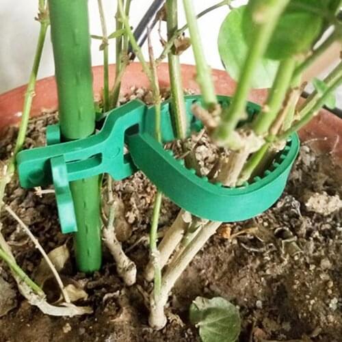 Elastic Green Firm Iron Wire Tree Ties for Stakes Tree Fixing Buckle Elastic Green Firm Iron Wire Tree Ties for Stakes 2021