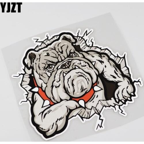 YJZT 14.6CMX13.6CM Interesting Cartoon Animal Fierce Bulldog Car Sticker Decal 13B-0088