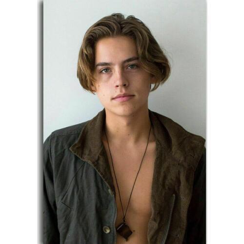 Cole Sprouse Movie Star Silk Cloth Poster Art Bedroom Decoration