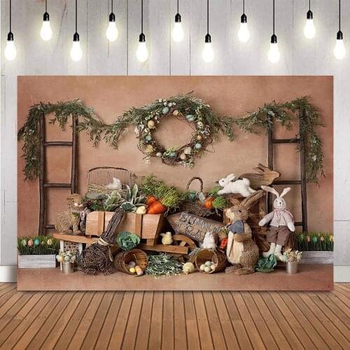 Bunny Newborn Kids Photography Backdrop Spring Easter Eggs Background for Photo Studio Rabbit Carrot Decoration Portrait Photo