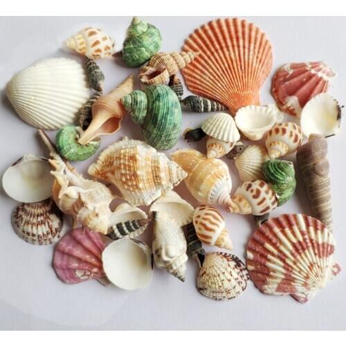 Mermaid Birthday Party Shell Decoration Happy Birthday Party Diy Shell Decoration Baby Shower Party Supplies