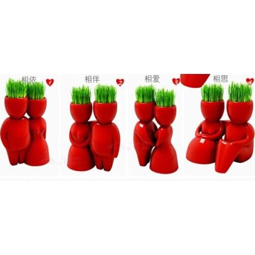 [ Fly Eagle ]4pair Red lover Desktop bonsai,green mini pot,DIY plant hair man ,enjoy planting ,gift for lover,4different design