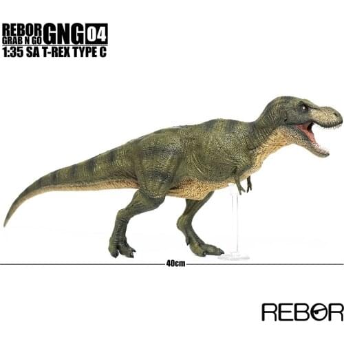 New Arrival Rebor GNG 04 05 Tyrannosaurus 1:35 SA T-Rex Type Dinosaur Model Toy Classic Toys