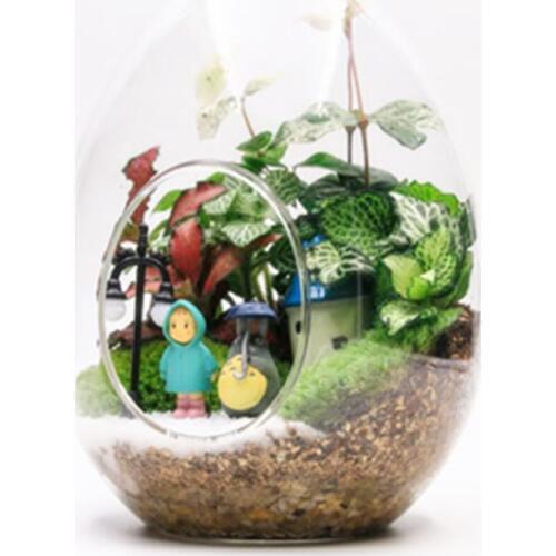 Creative egg shaped glass bottle succulent glass vase micro landscape moss bottle