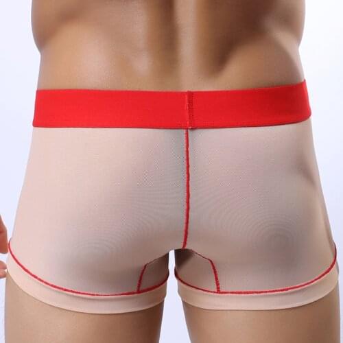 Boxer Shorts Mens Underwear Men Sexy Transparent Mesh Gay Panties Male Breathable U Convex Pouch Boxer Cuecas Homme Boxershorts