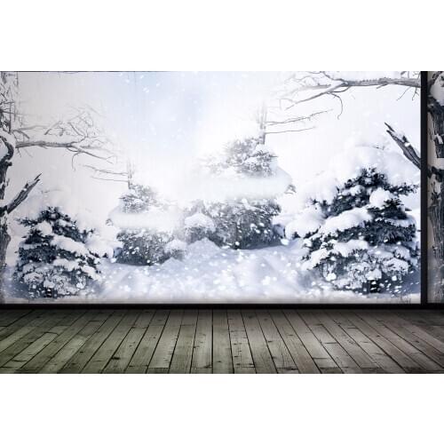 VinylBDS Wood Floor Photo Backdrops Snow Winter Backdrop China White Snow Photography For Wedding