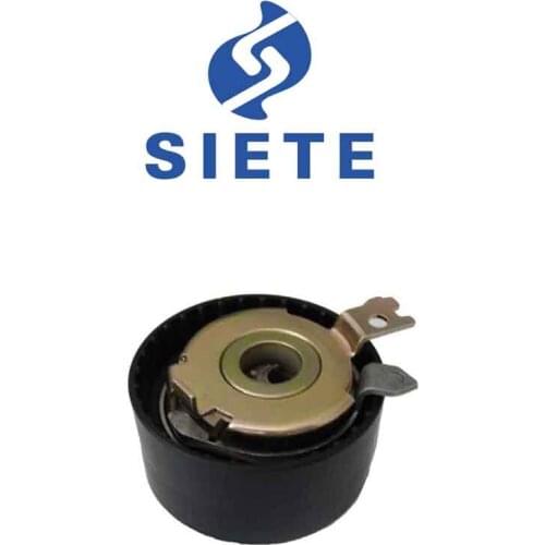 1307000QAB 7700108117 Belt Tensioner