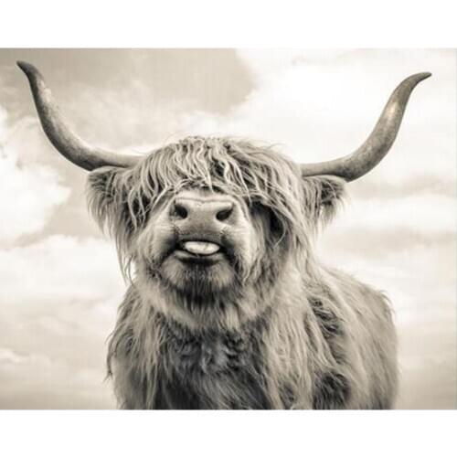 5d diamond painting highland cow mosaic art embroidery stitch animals rhinestone picture puzzle drawing wall decor craft icons