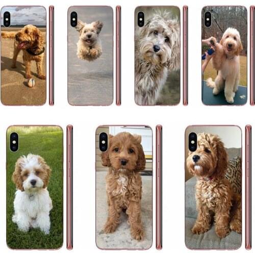Cockapoo Dog Puppy Silicone Case Cover For Samsung Galaxy A10 A20 A20E A3 A40 A5 A50 A7 J1 J3 J4 J5 J6 J7 2016 2017 2018