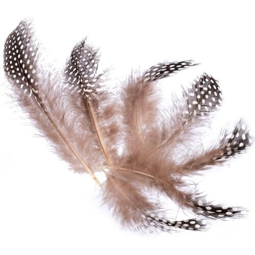 50pcs 4.5-10cm Spotted Guinea Fowl Plumage Feathers Millinery Crafts DIY Decors For Shoes Hats Earing Ornament Accessories