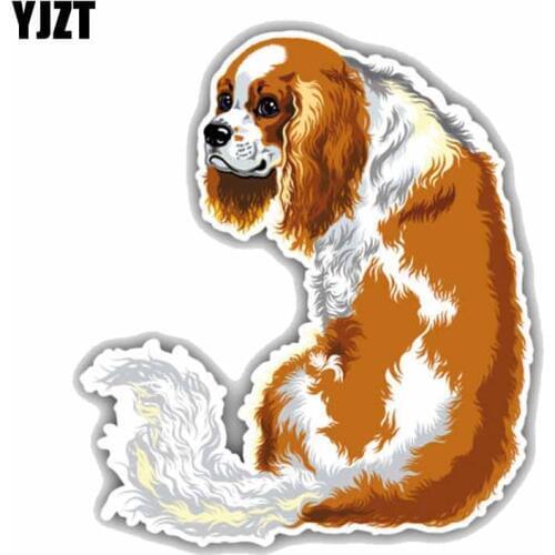 YJZT 13CMx14.7CM Blenheim King Charles Spaniel Dog Car Decoration Car Sticker C1-9059