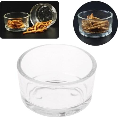 New Reptile Feeder Water Food Glass Bowl Cup Lizard Turtle Cricket Basin Feeding