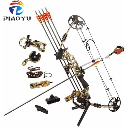 Junxing M120 Dream Hunting Compound Bow Right Hand Outdoor Bows Arrows Archery Powerful Shooting