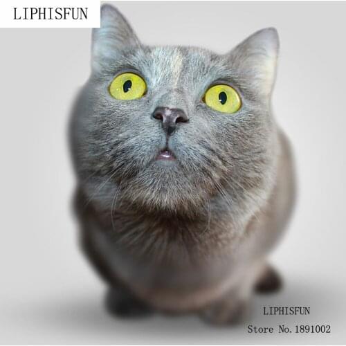 5D DIY Diamond Painting kit Square Resin Rhinestone Embroidery Cross Stitch Arts for Craft Home Wall Decor Cat