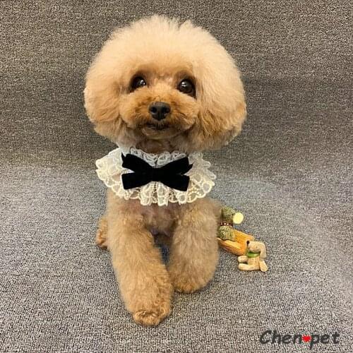 Designer Luxury Dog Lace Collar with Bow Elegance Dog Collars for Poodle Chihuahua Cat Small Medium Dog Accessories Summer