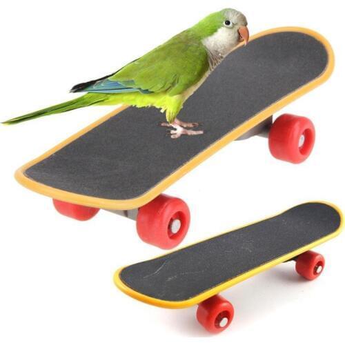 Pet Bird Toys Parrot Toys Intelligence Skateboard Toy Stand Perch Toy For Bird Training Accessories Bird Scooter Pet Supplies
