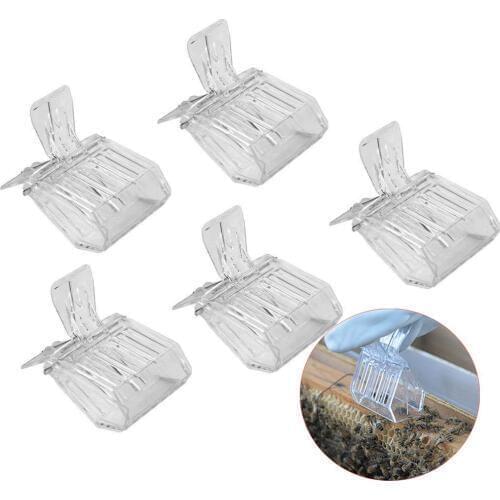 1pcs bees king clips isolation room insectary box tools queen cage colorless plastic cages accessories new beeing supplies